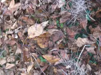 002.webp