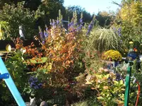 Herbst 2010 044.webp