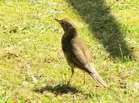 Oktober 10 990v.webp