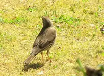 Oktober 10 992v.webp