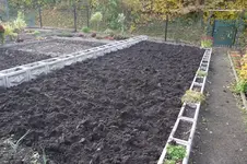 Garten 004.webp