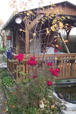 Garten 009.webp