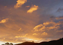 Herbst 2009 528v.webp