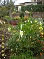 JD500363.webp