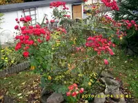 JD500365.webp