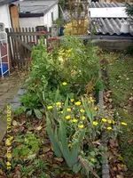 JD500366.webp