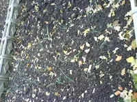 Garten 005 [800x600].webp