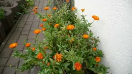 K640_7.11 001.webp