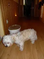 SDC12589.webp