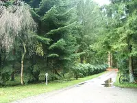 38970.webp