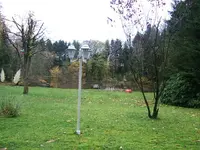 38971.webp