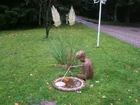 38973.webp