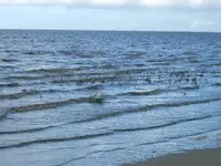 39021.webp