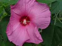 P1020019.webp