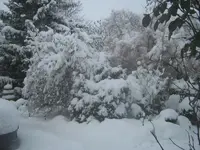 schneebild.webp
