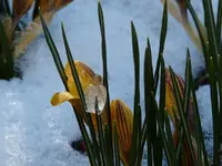 P1010120.webp