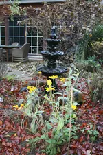 IMG_2599.webp