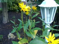 Foto123.webp