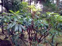 Foto120.webp