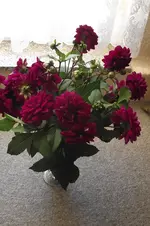 Garten 002.webp