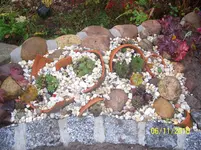 100_2697.webp