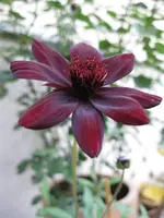 IMG_1320.webp