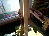 IMG00010-20101109-1319.webp