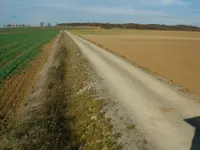 Strasse nach nirgendwo.webp