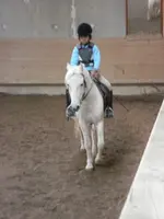 Kiki.webp