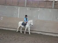 Kiki 2.webp