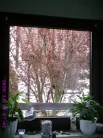 PIC00013.webp