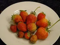 DSCF5843.webp