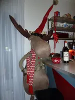 Schleifen Weihnachten 2010 047.webp