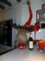 Schleifen Weihnachten 2010 049.webp