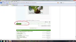 Forum.webp