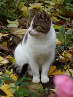 Garten 011.webp