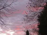 Sonnenaufgang 14.11.10 (1).webp
