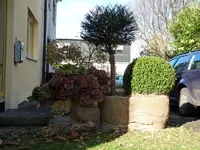 P1000685.webp