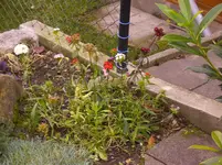 N 095.webp