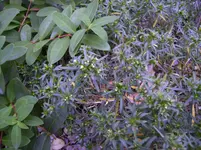 N 108.webp