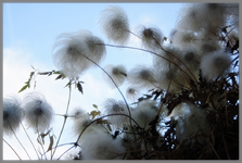 14.11 (18).webp