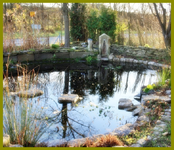 14.11 (22).webp
