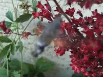 _ILD0143.webp