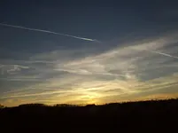 100_2461.webp