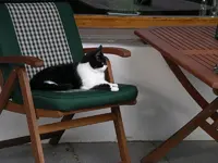 IMGP0180.webp