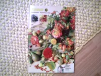 PIC00528.webp