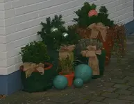 Kübel winterfest gemacht.webp