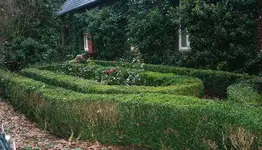Vorgarten.webp