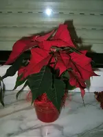 DSCF4458.webp