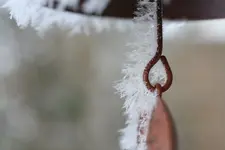winterzauber 1.webp